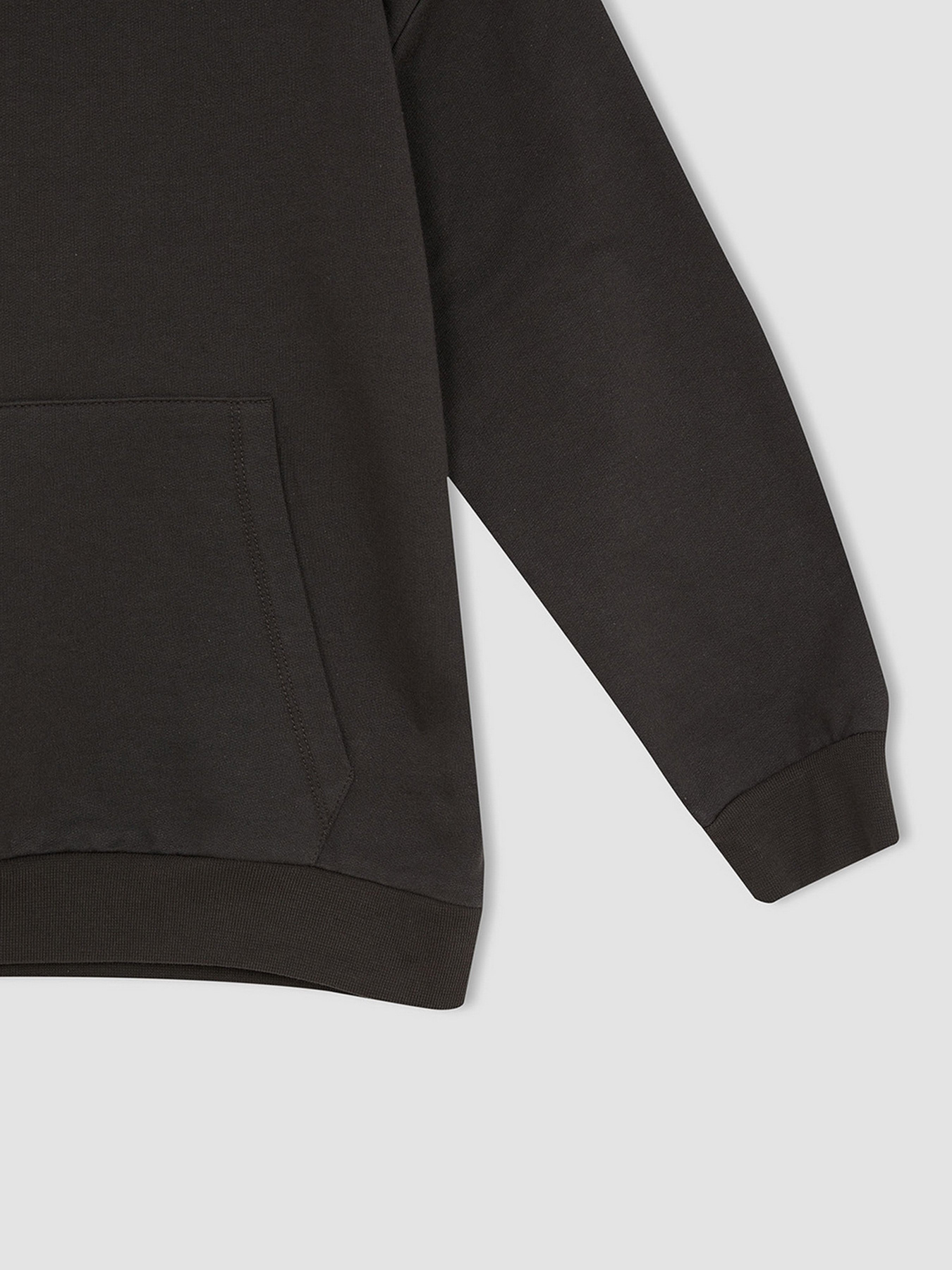 Худи DeFacto модель W6859A6-AR202 Фото