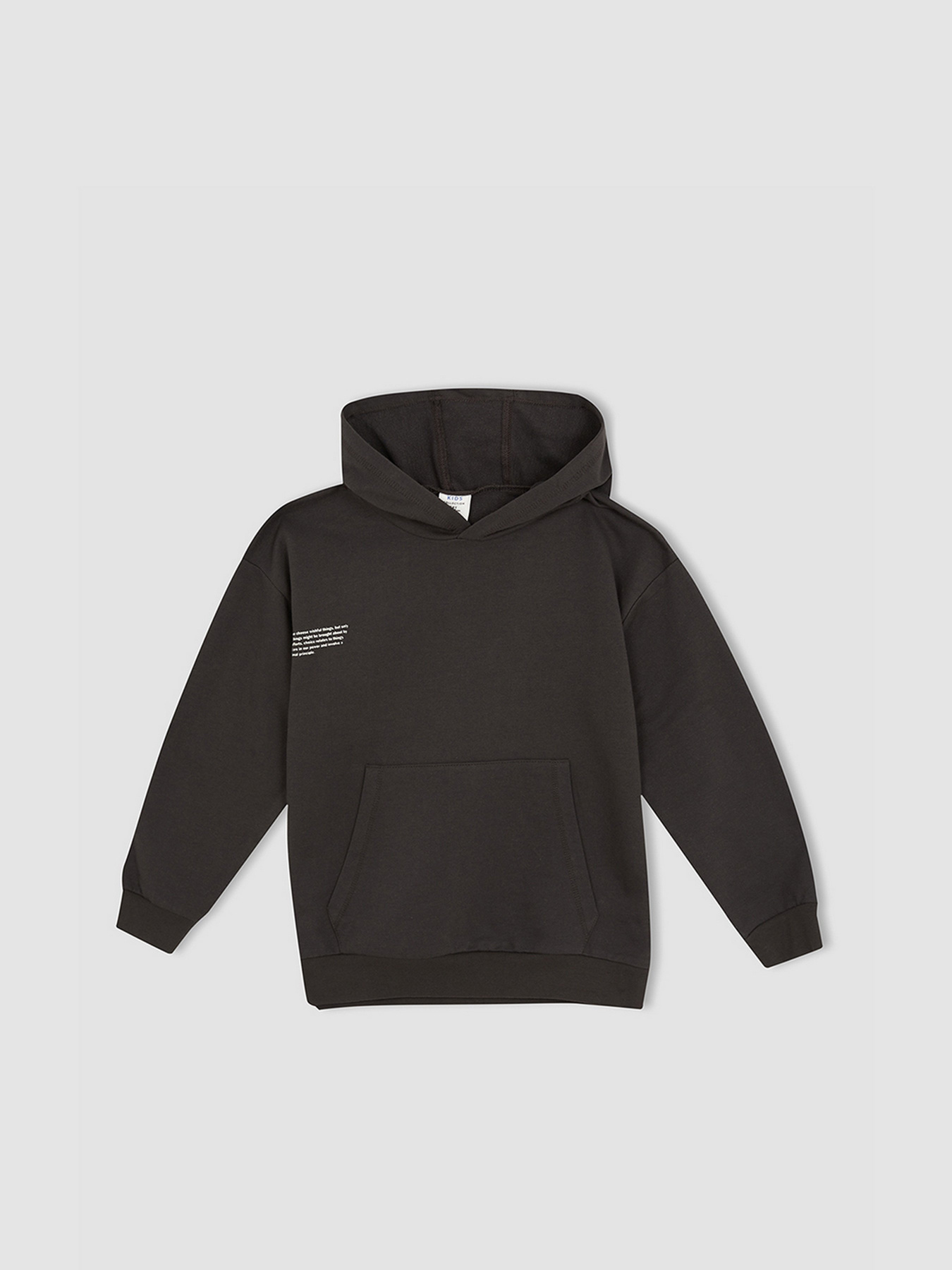 Худи DeFacto модель W6859A6-AR202 Фото