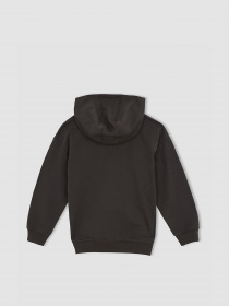 Худи DeFacto модель W6859A6-AR202 Фото