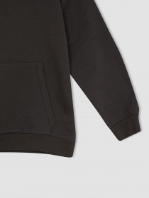 Худі DeFacto модель W6859A6-AR202 Фото