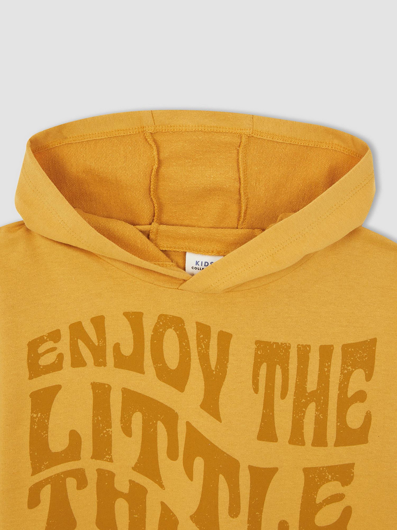 Худи DeFacto модель W8907A6-BG308 Фото