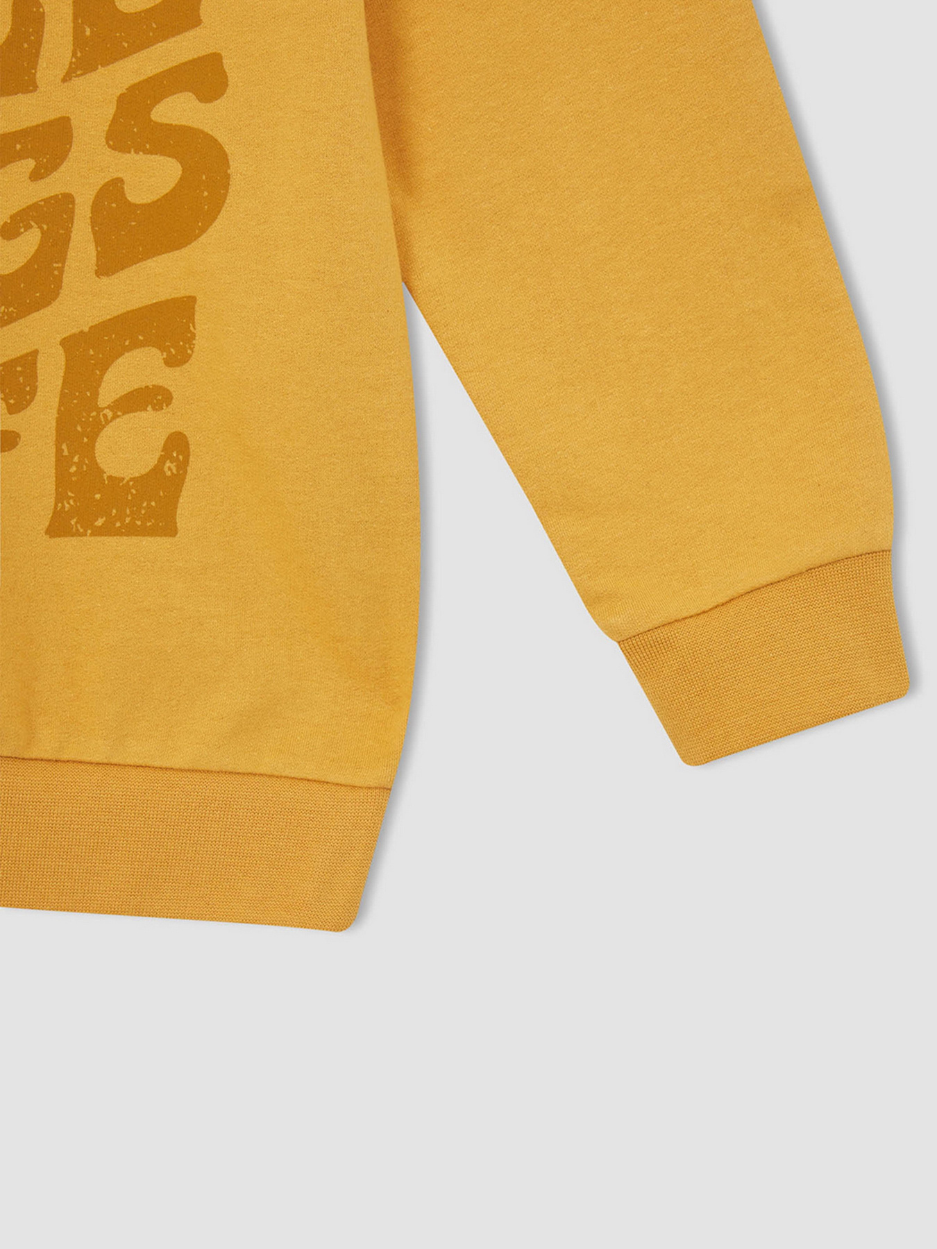 Худи DeFacto модель W8907A6-BG308 Фото