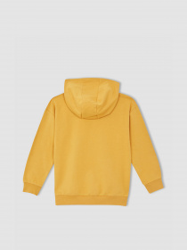 Худи DeFacto модель W8907A6-BG308 Фото