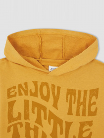 Худі DeFacto модель W8907A6-BG308 Фото