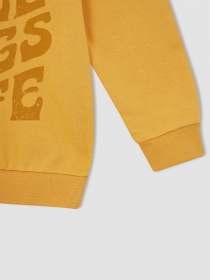 Худі DeFacto модель W8907A6-BG308 Фото