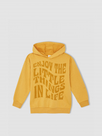 Худі DeFacto модель W8907A6-BG308 Фото