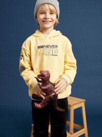 Худи DeFacto модель W7781A6-YL296 Фото