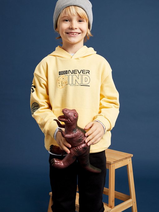 Худи DeFacto модель W7781A6-YL296 Фото