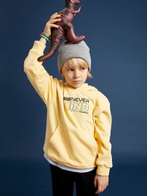 Худи DeFacto модель W7781A6-YL296 Фото