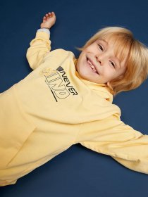 Худи DeFacto модель W7781A6-YL296 Фото