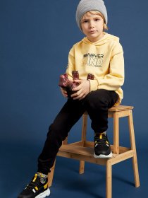 Худи DeFacto модель W7781A6-YL296 Фото