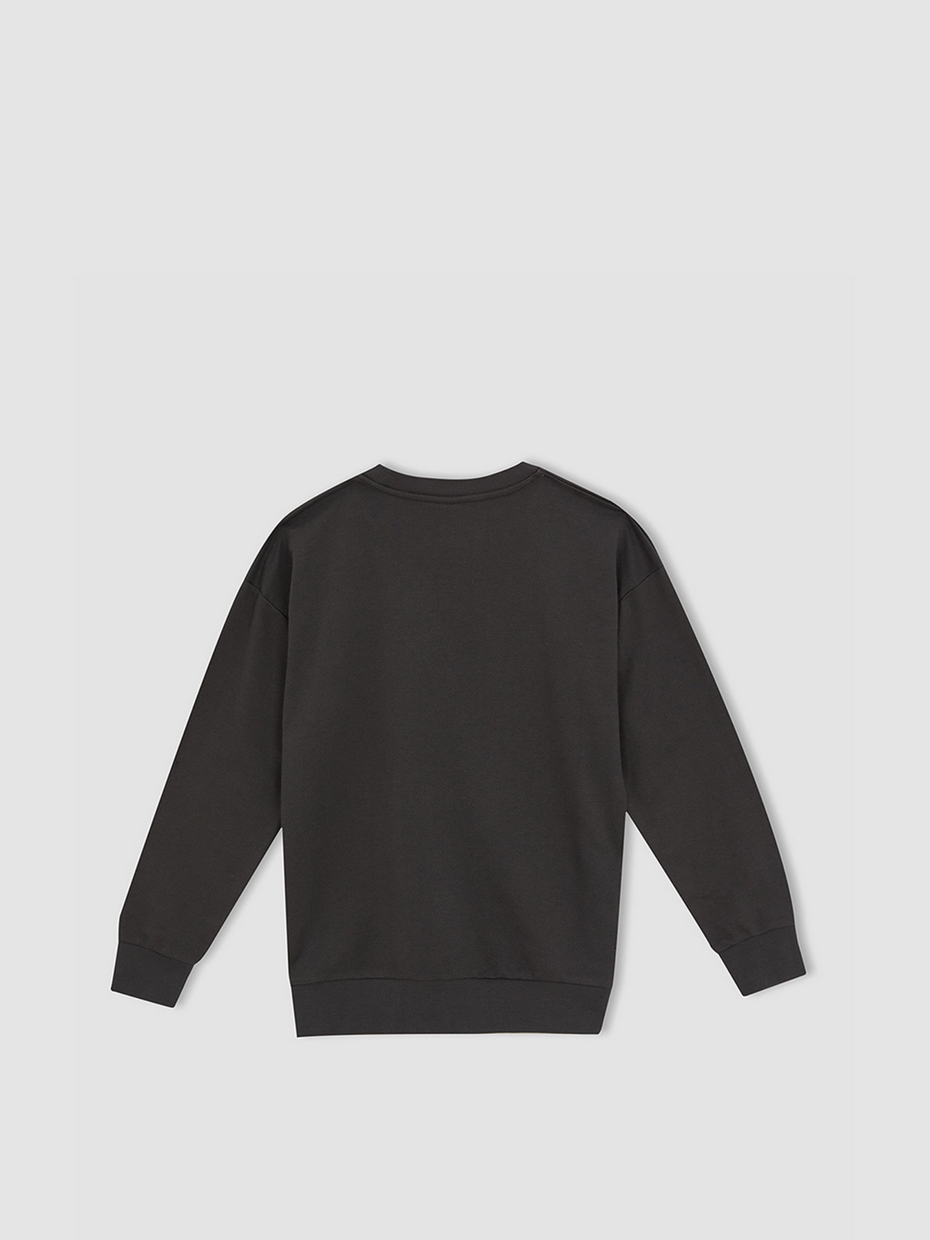 Світшот DeFacto модель W6853A6-AR202 Фото