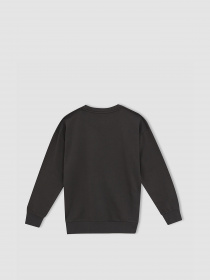 Світшот DeFacto модель W6853A6-AR202 Фото