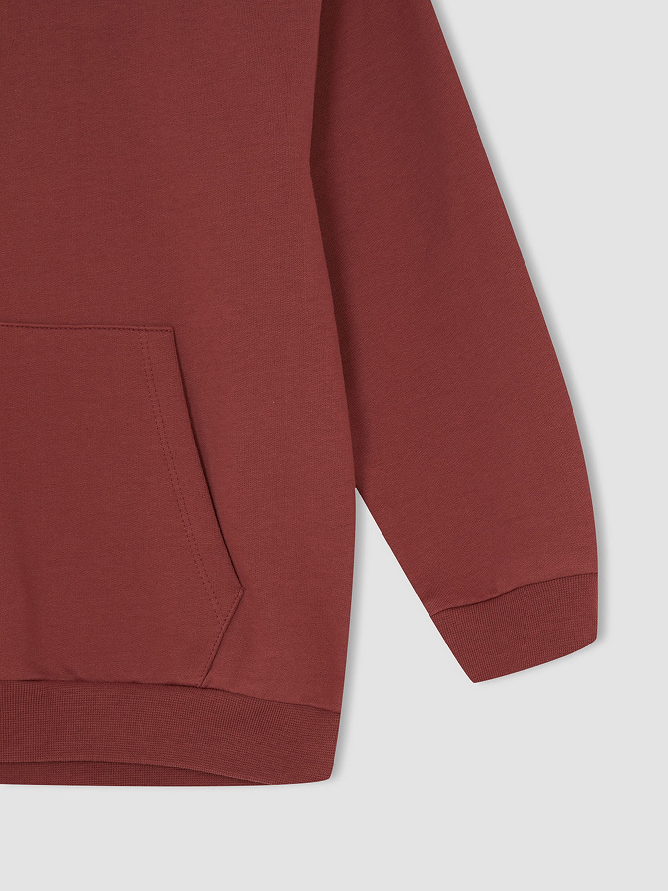 Худи DeFacto модель W6859A6-PN618 Фото