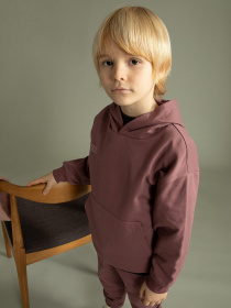 Худи DeFacto модель W6859A6-PN618 Фото