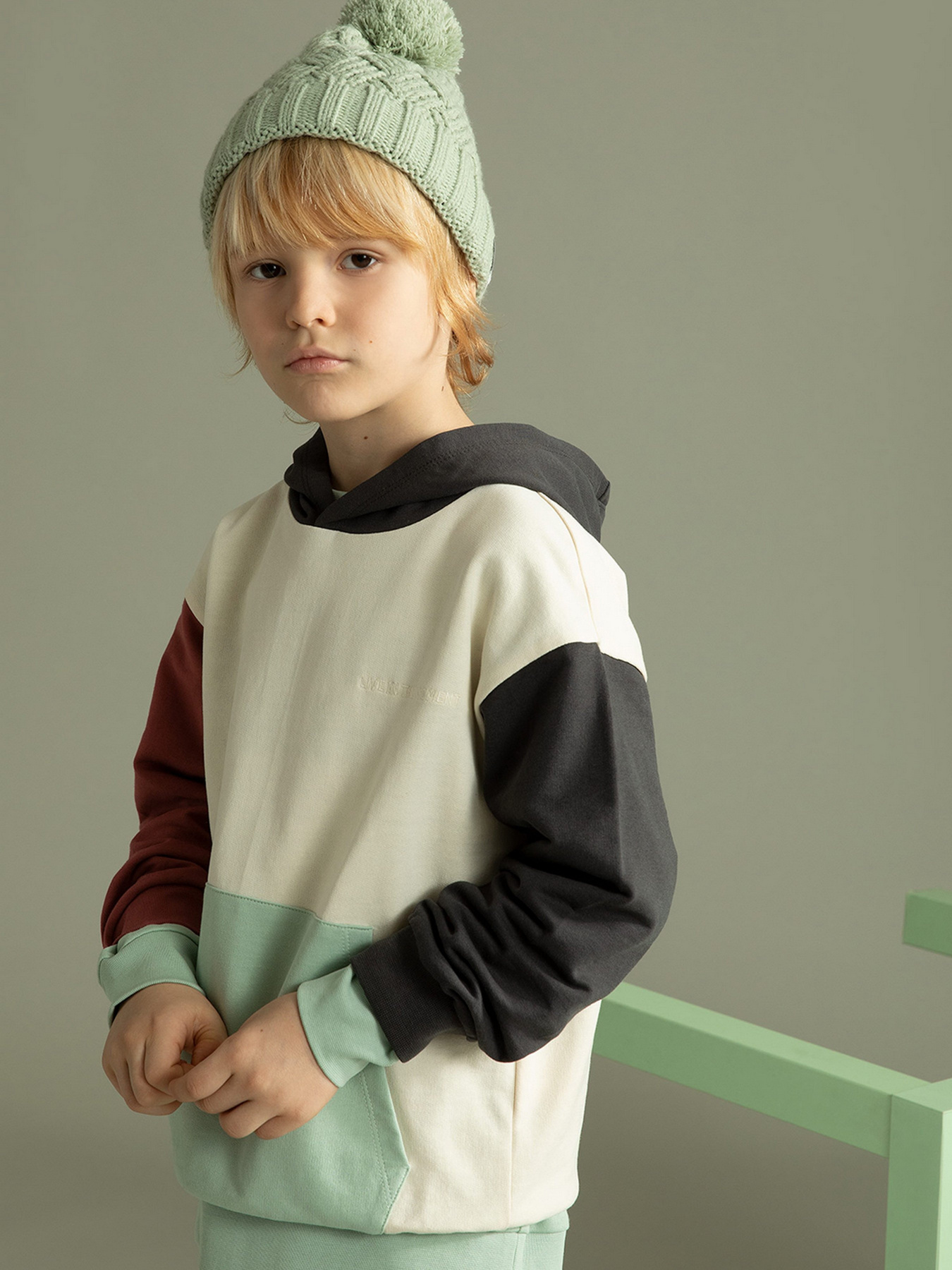 Худи DeFacto модель W6856A6-ER220 Фото