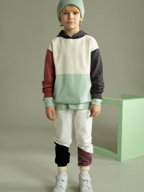 Худи DeFacto модель W6856A6-ER220 Фото