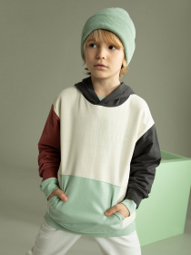 Худи DeFacto модель W6856A6-ER220 Фото