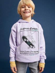 Худі DeFacto модель W7782A6-PR434 Фото