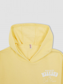 Худи DeFacto модель W7108A6-YL115 Фото