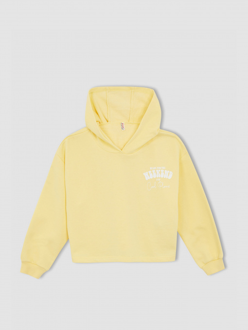 Худі DeFacto Модель W7108A6-YL115 Фото