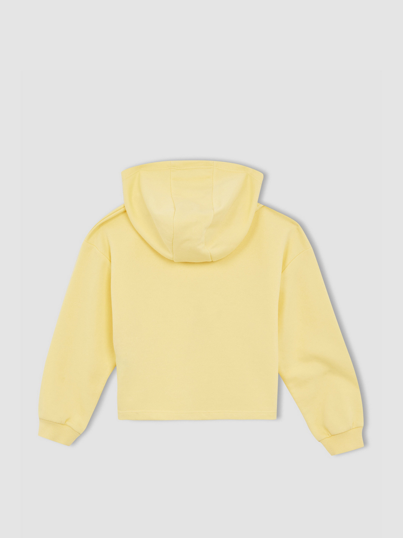 Худи DeFacto модель W7108A6-YL115 Фото