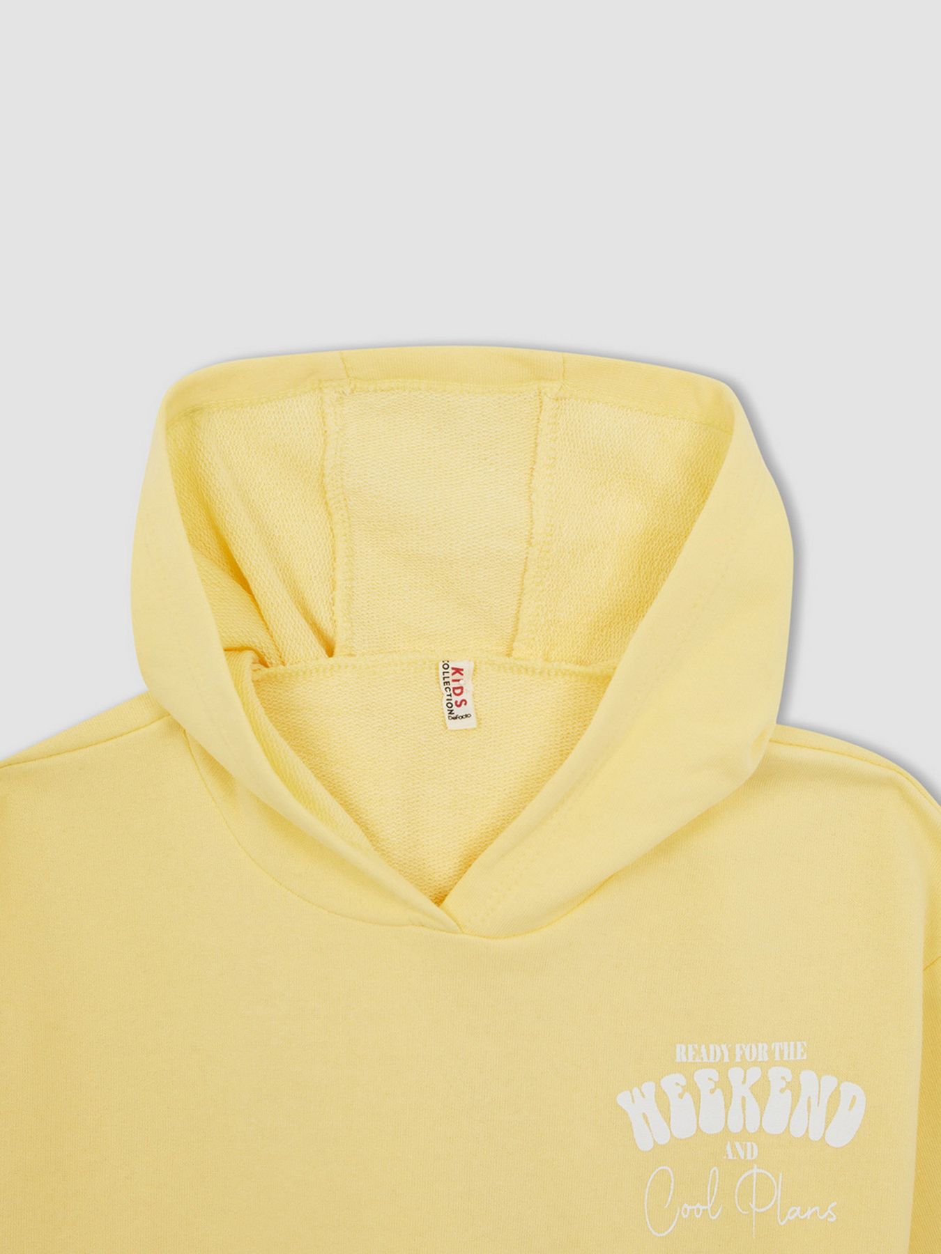 Худи DeFacto модель W7108A6-YL115 Фото