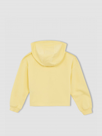 Худи DeFacto модель W7108A6-YL115 Фото