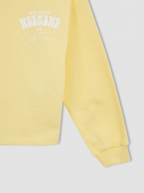 Худи DeFacto модель W7108A6-YL115 Фото