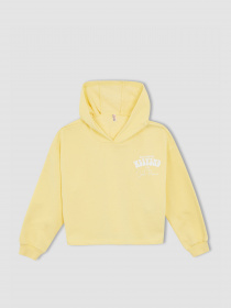 Худи DeFacto модель W7108A6-YL115 Фото