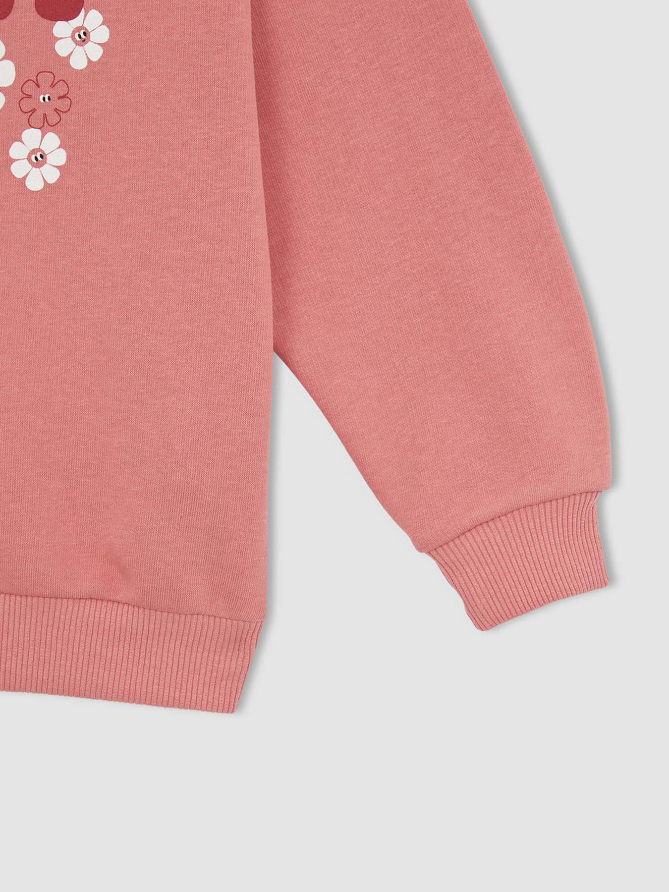 Свитшот DeFacto модель W9530A6-BR136 Фото