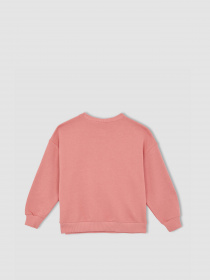 Свитшот DeFacto модель W9530A6-BR136 Фото