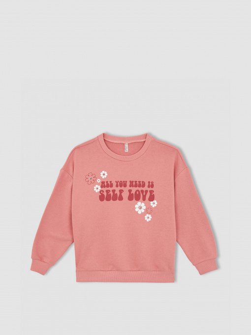 Свитшот DeFacto модель W9530A6-BR136 Фото