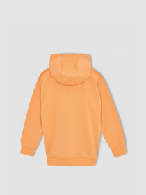 Худи DeFacto модель W7785A6-OG301 Фото