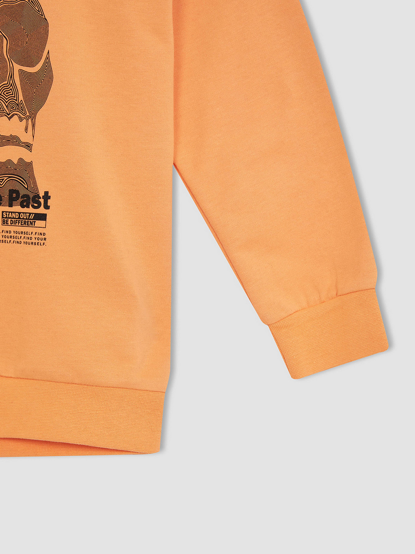 Худі DeFacto модель W7785A6-OG301 Фото