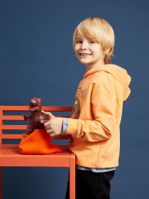 Худі DeFacto модель W7785A6-OG301 Фото