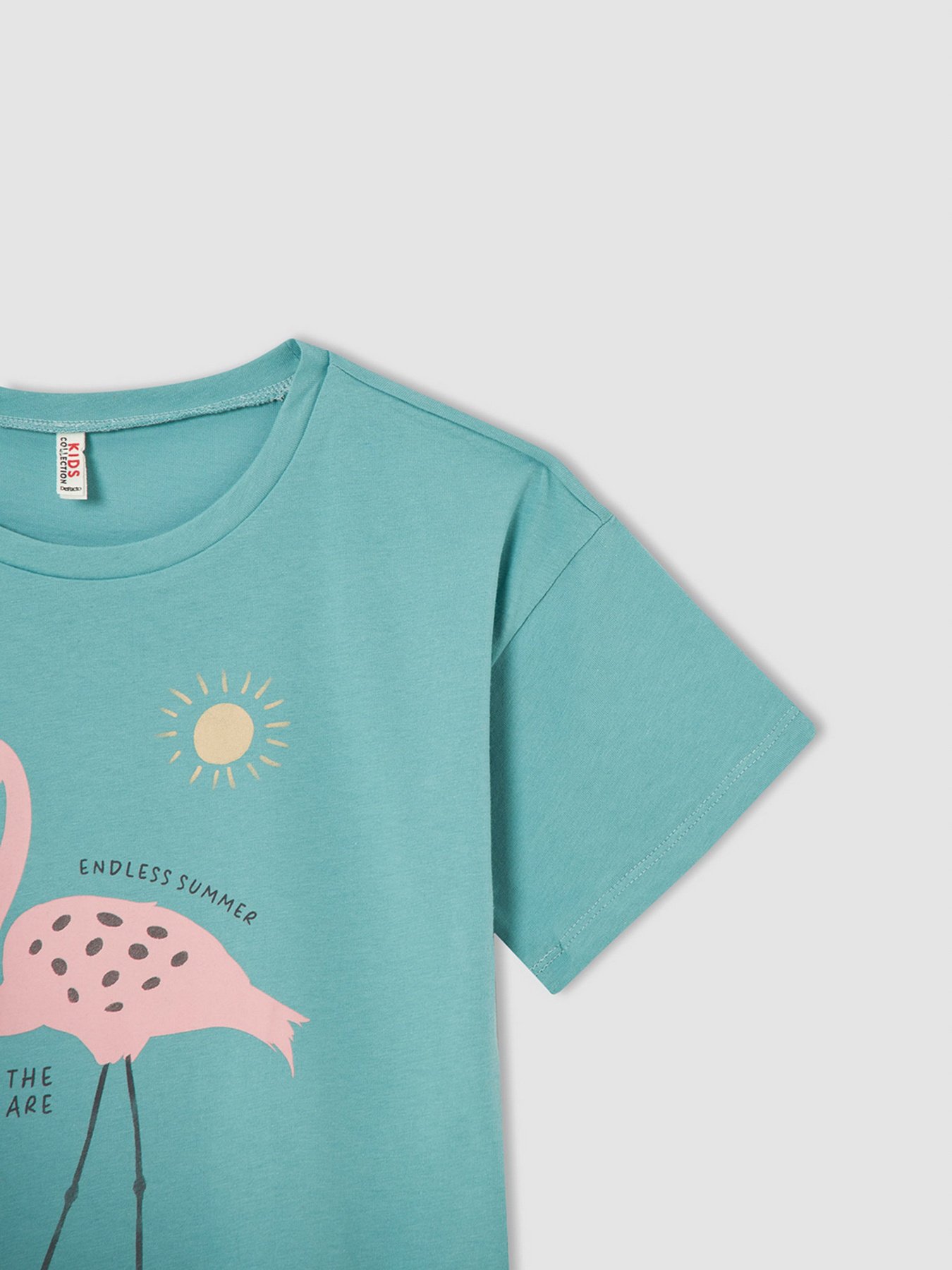 Футболки и поло DeFacto модель V7911A6-TR386 Фото