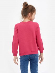 Свитшот DeFacto модель S0989A6-PN201 Фото