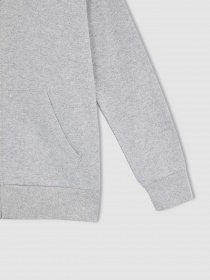 Кофта спортивная DeFacto модель X2553A6-GR210 Фото