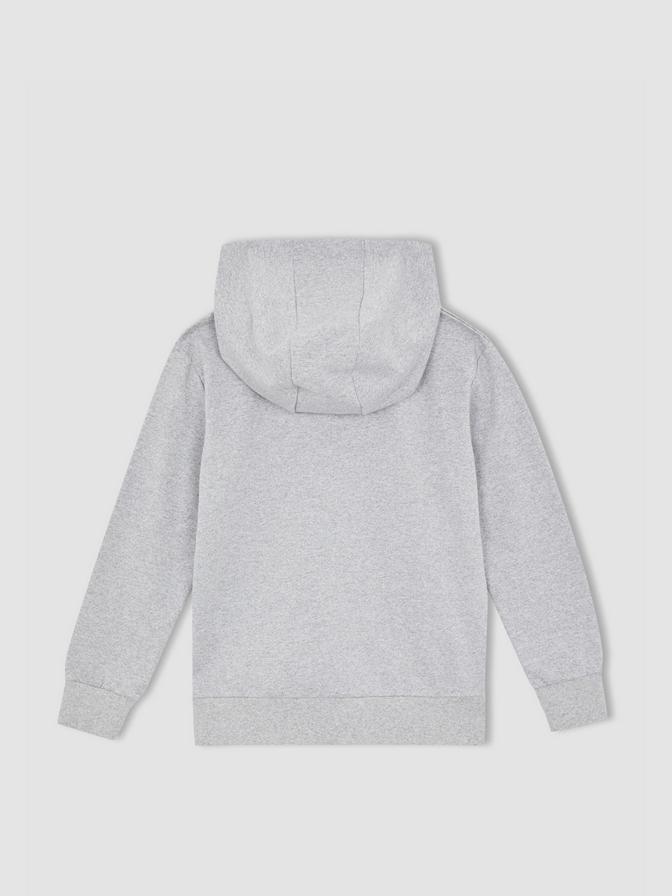 Спортивна кофта DeFacto модель X2553A6-GR210 Фото