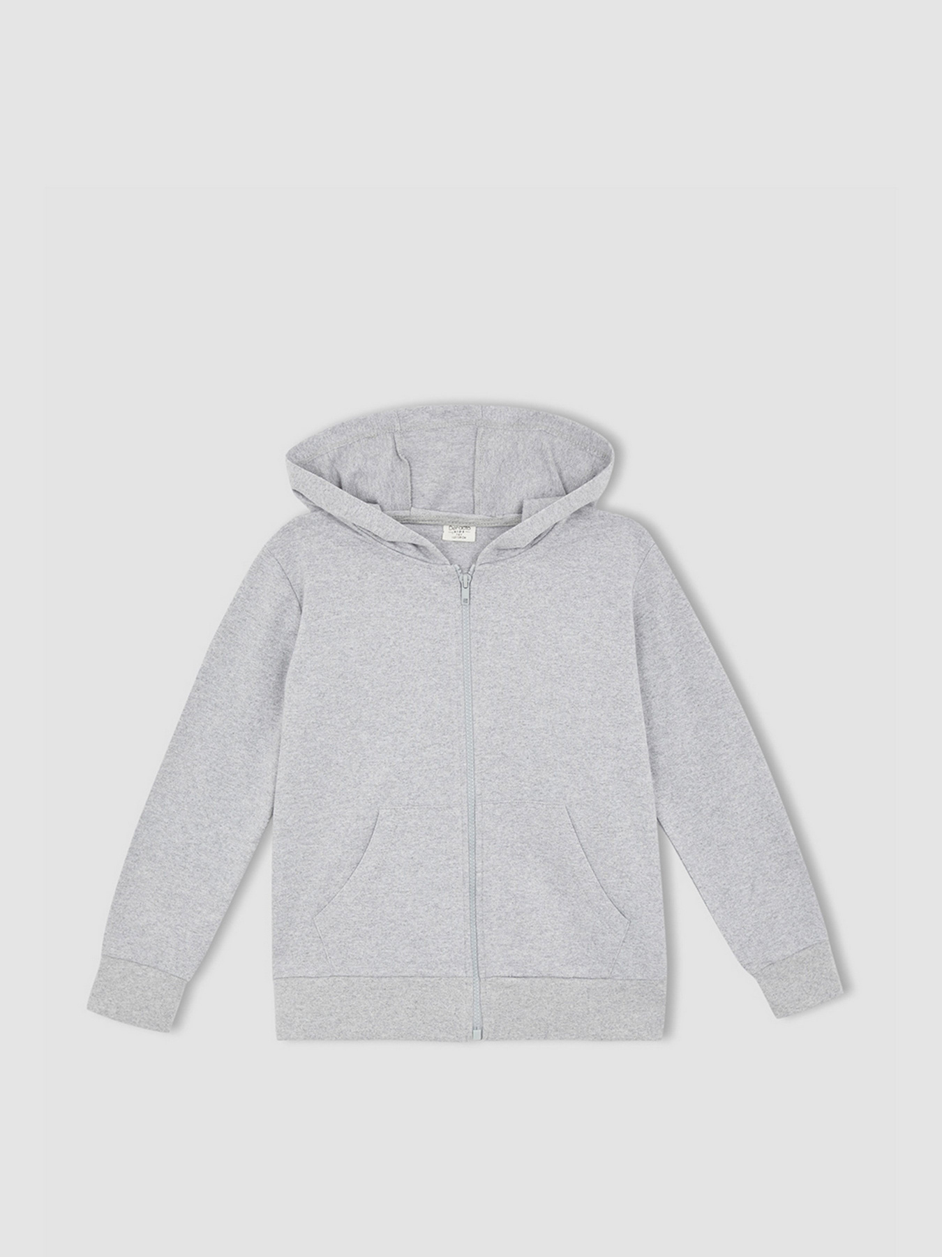 Спортивна кофта DeFacto модель X2553A6-GR210 Фото