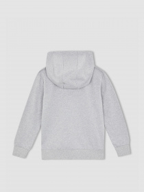 Спортивна кофта DeFacto модель X2553A6-GR210 Фото