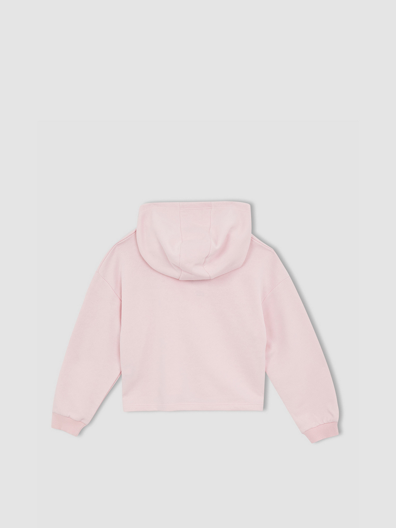 Худи DeFacto модель W7108A6-PN440 Фото