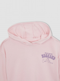 Худи DeFacto модель W7108A6-PN440 Фото