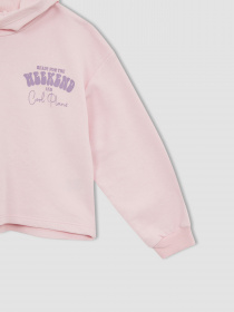 Худи DeFacto модель W7108A6-PN440 Фото