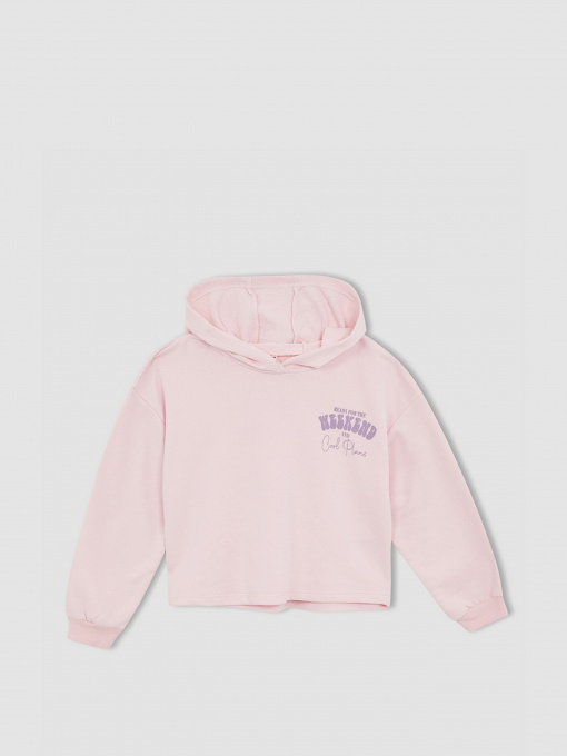 Худі DeFacto Модель W7108A6-PN440 Фото