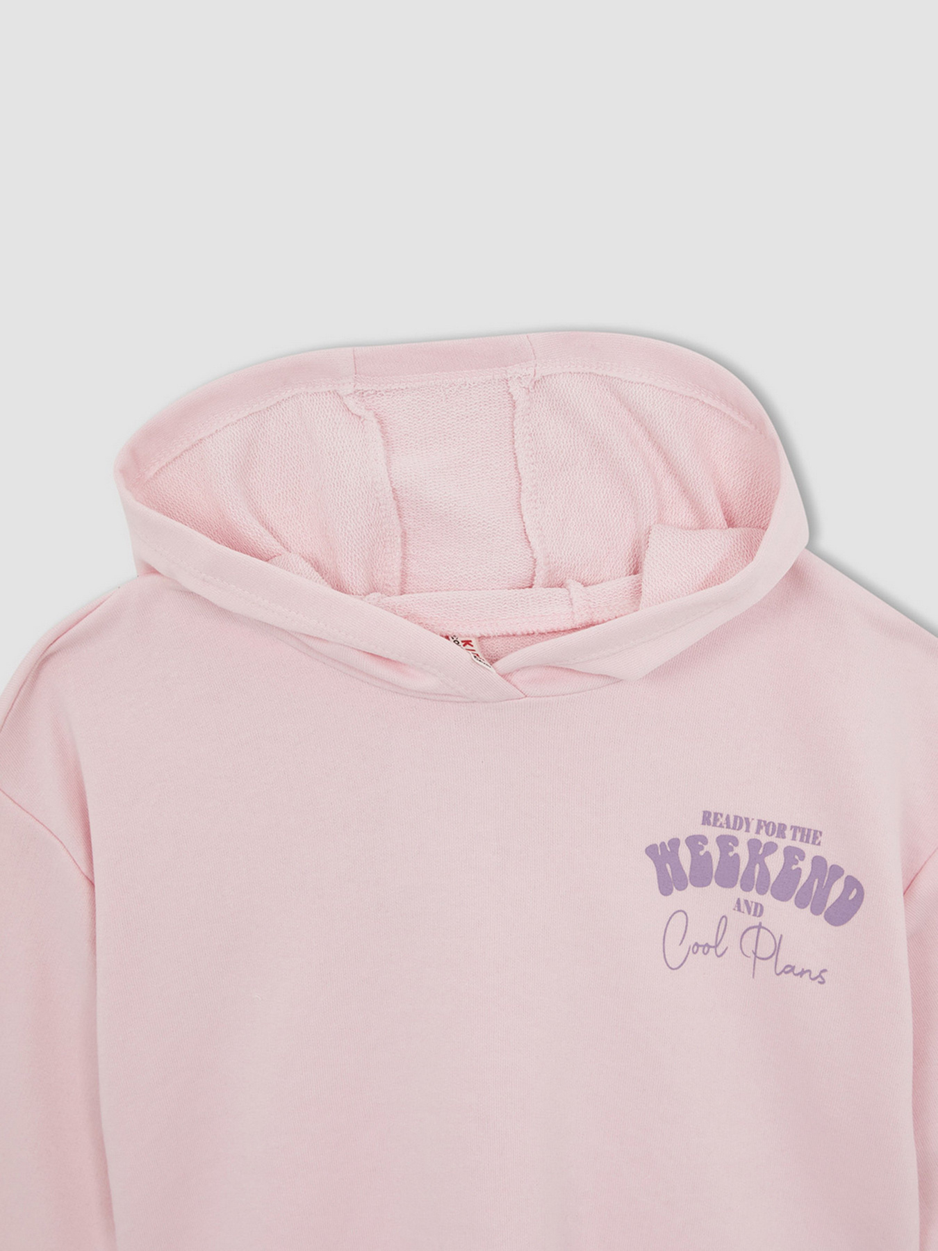 Худи DeFacto модель W7108A6-PN440 Фото