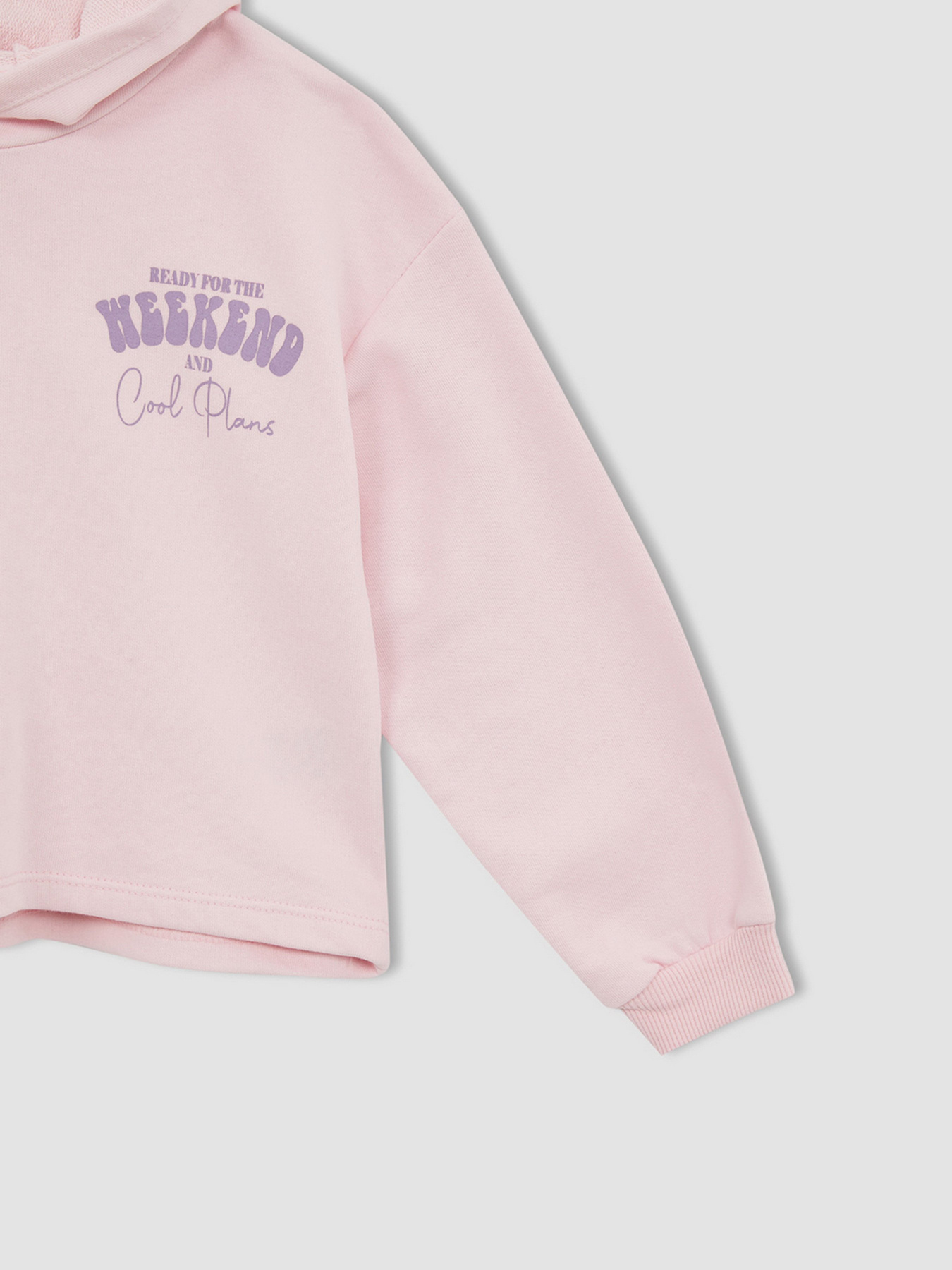 Худи DeFacto модель W7108A6-PN440 Фото