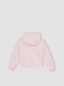 Худи DeFacto модель W7108A6-PN440 Фото