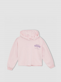 Худи DeFacto модель W7108A6-PN440 Фото